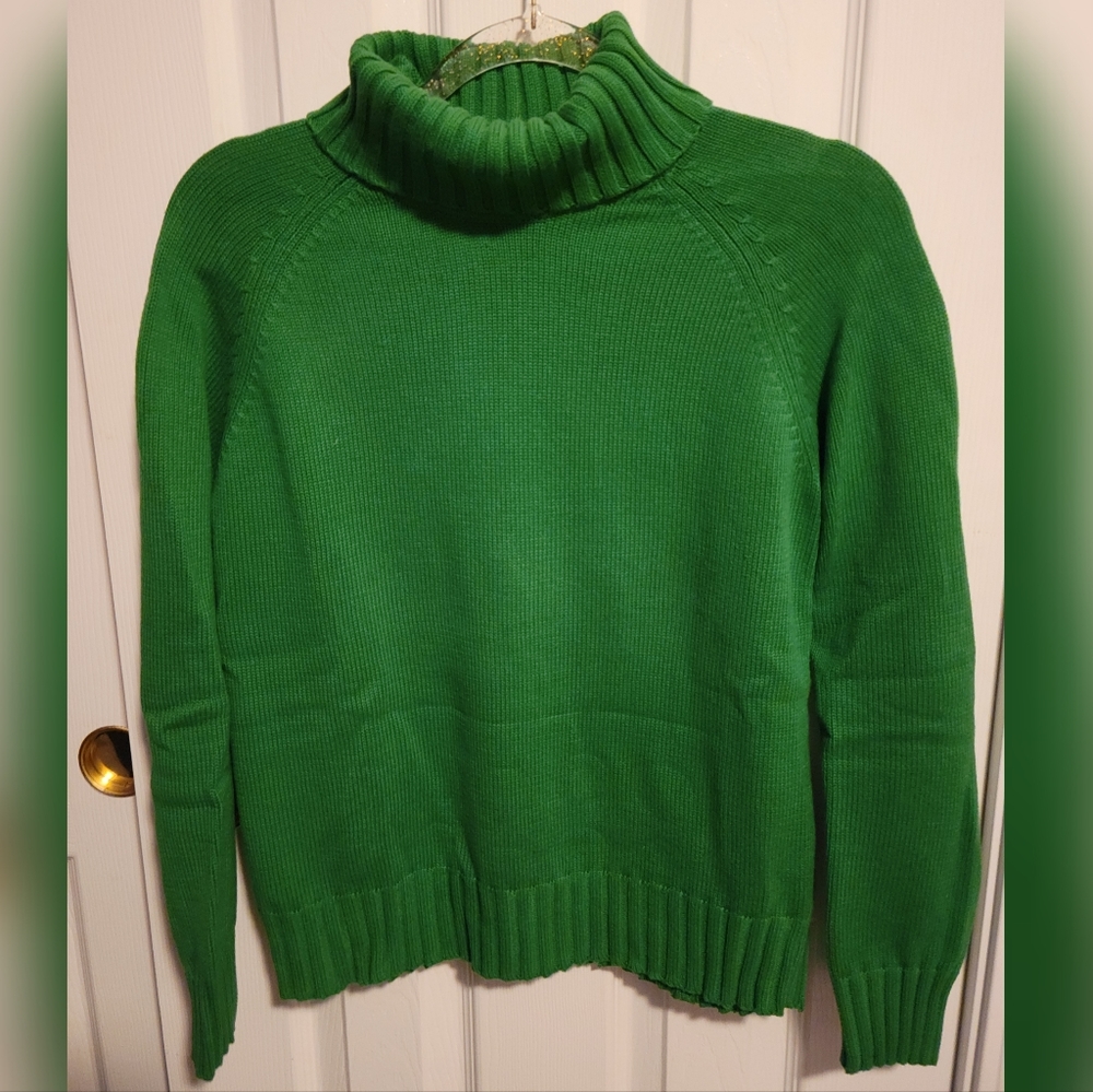 NWOT Green Pria Turtleneck Sweater